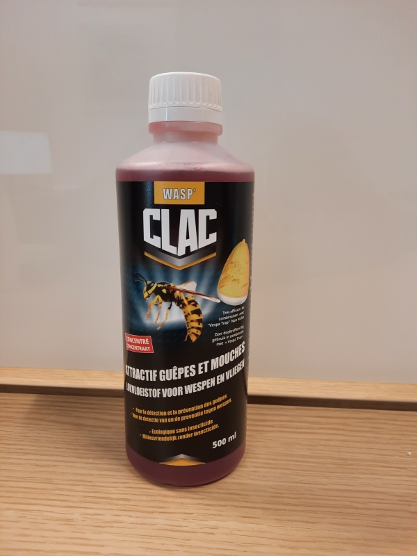 insecticide guêpe
